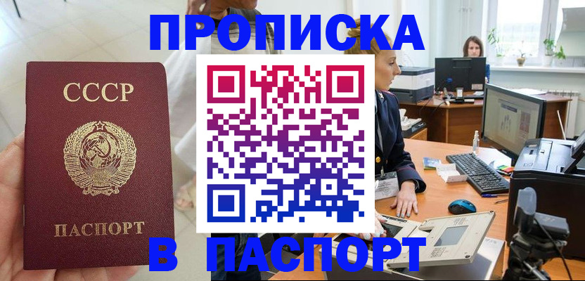 прописка в квартире в Мытищах